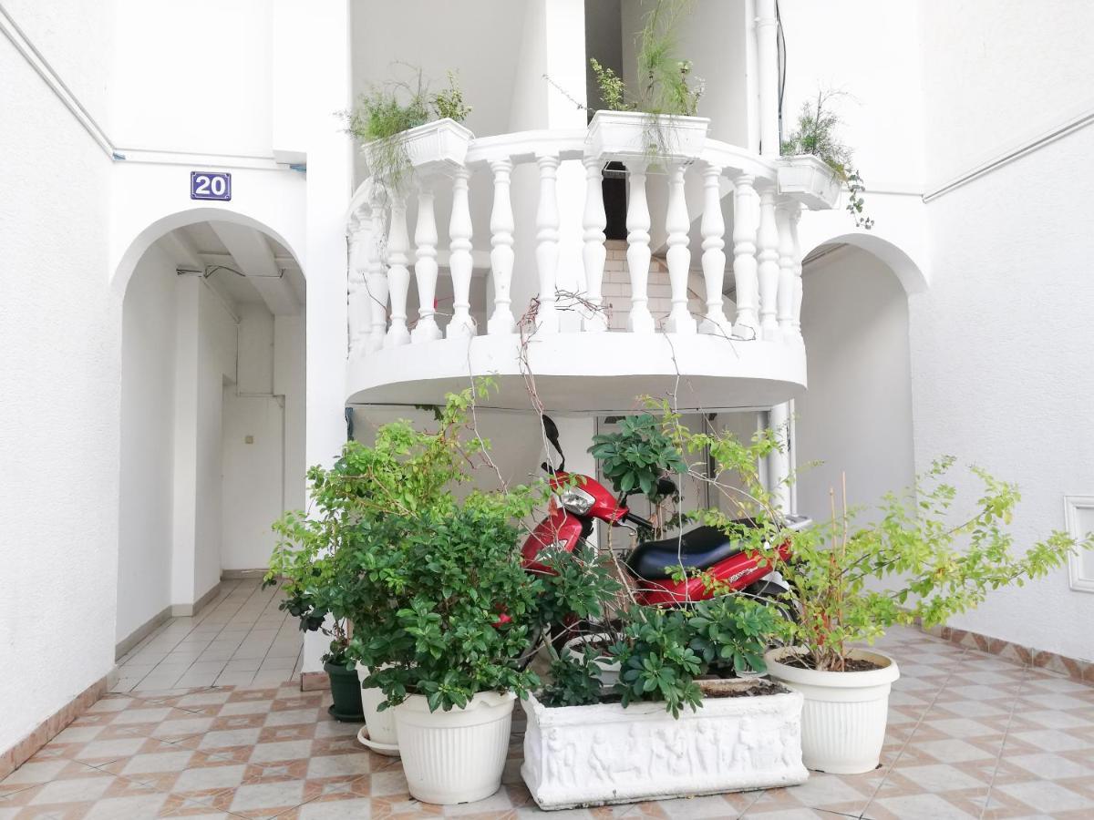 Azalea Of Appartement