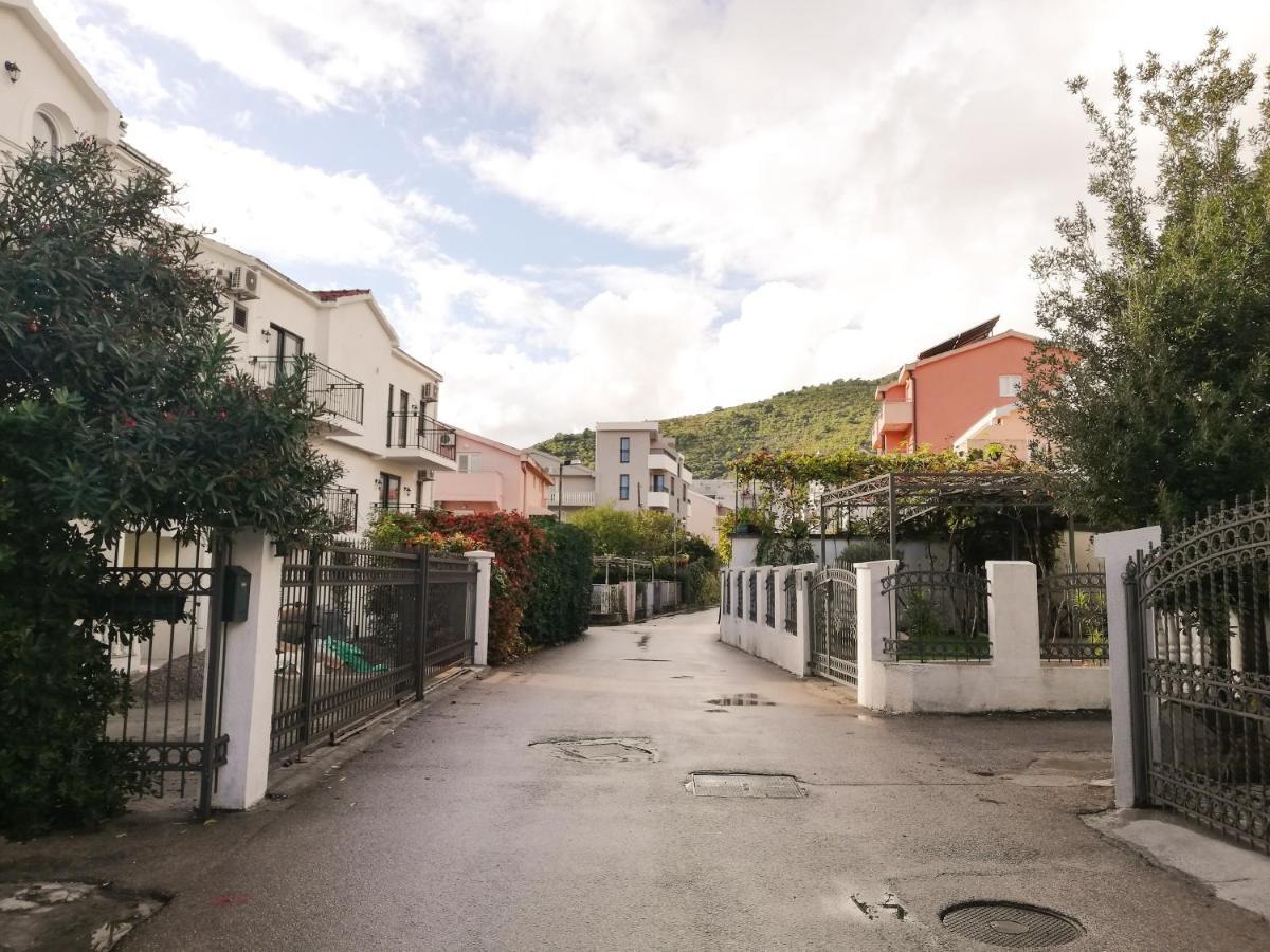 Azalea Of Budva