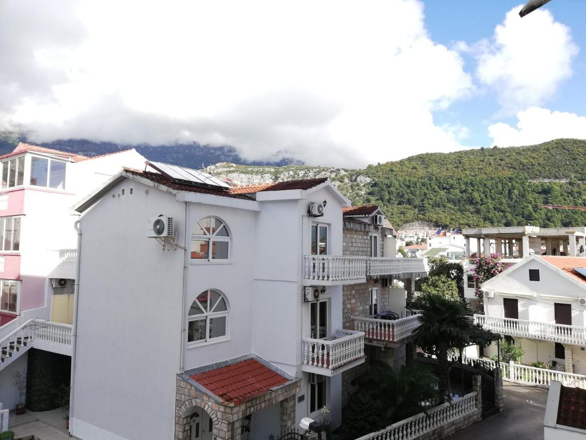 Azalea Of Apartment Budva